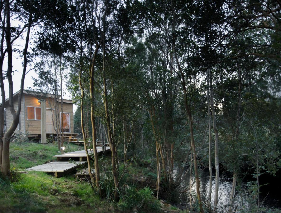 Vuelta Al Sur Bed & Breakfast *